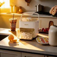 Double Layer Ice Cube Tray with Bin