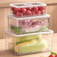 Fridge Food Storage Containers