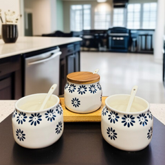 Ceramic Sugar Pot Set-D1