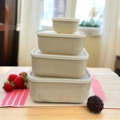 Airtight 4 Pcs Bowl Set