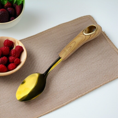 Stainless Steel Luxury Dish Spoon-D2