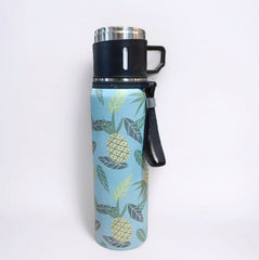 Stainless Steel Insulated Bottle-D2