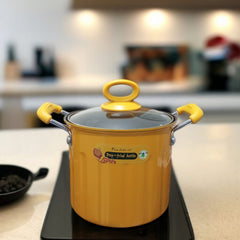 Deep Fryer Pot with Stainer-3L