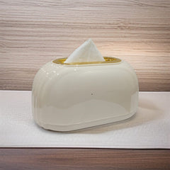 Stylish Desktop Tissue Box