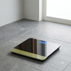 Electronic Digital Weight Scale