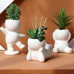 Nordic Cute Succulent Plant Simulation
