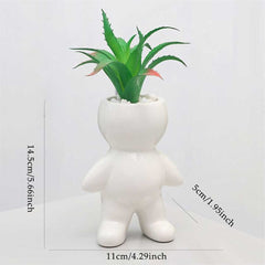 Nordic Cute Succulent Plant Simulation
