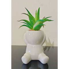Nordic Cute Succulent Plant Simulation