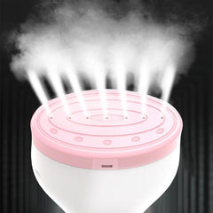 Liven Multifunctional Ironing Machine & Steamer