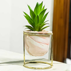 Nordic Creative Succulent Flower Pot Marble Pattern
