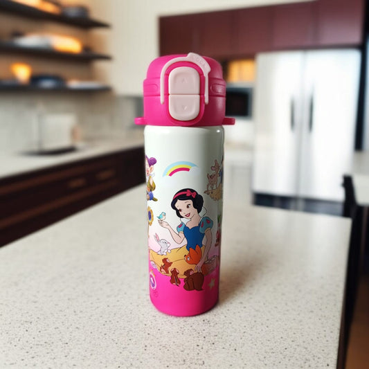 Stainless Steel Water Bottle -D1