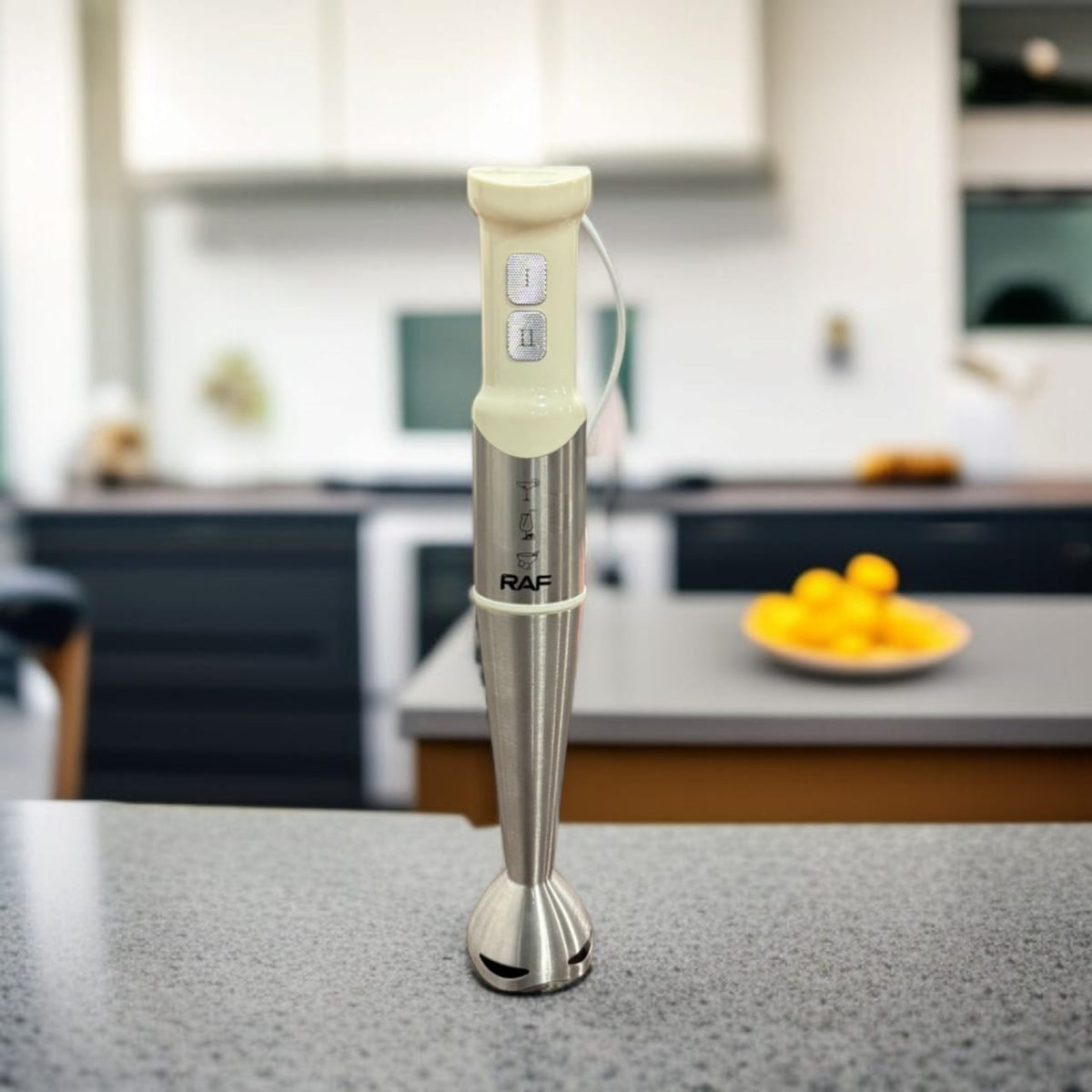 Raf Electric Hand Blender 3016