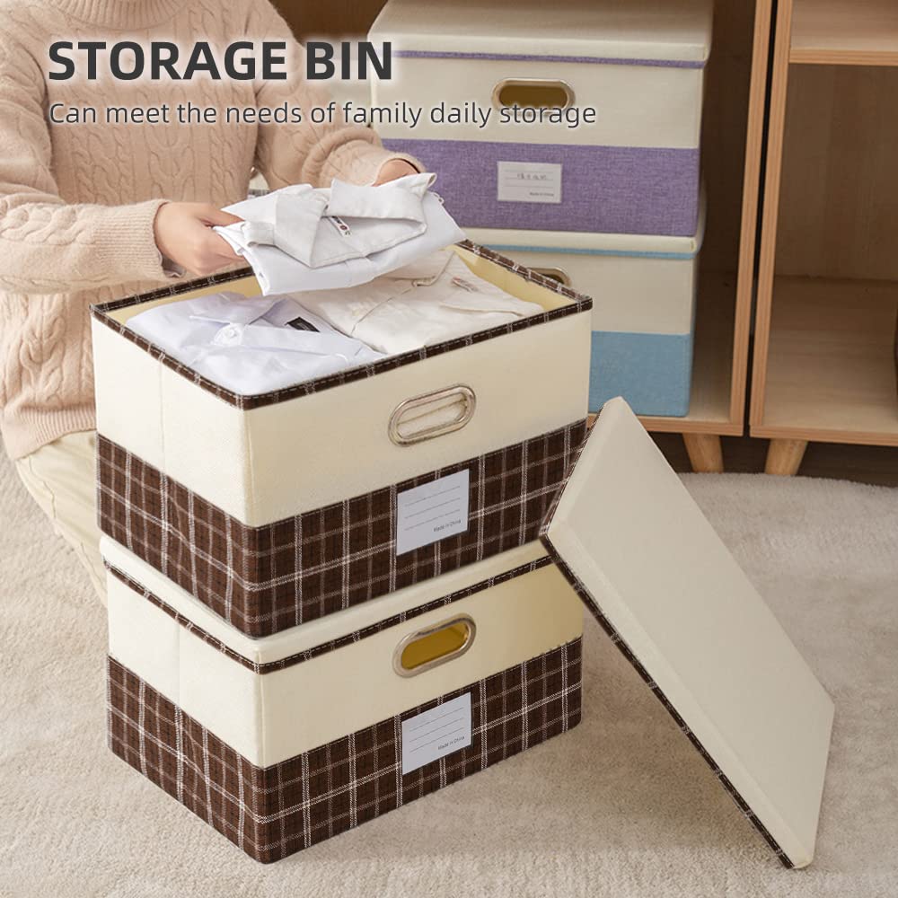 Collapsible Closet Organizer (Medium)