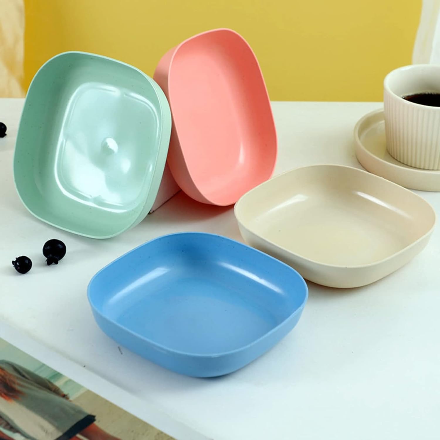 10 Pc Plastic Plates with Holder