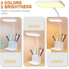 LED Desk Lamp with Pen Holder