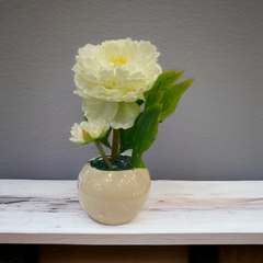 White Peony flower with White Pot