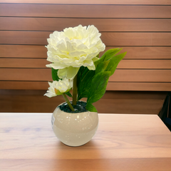 White Peony flower with White Pot