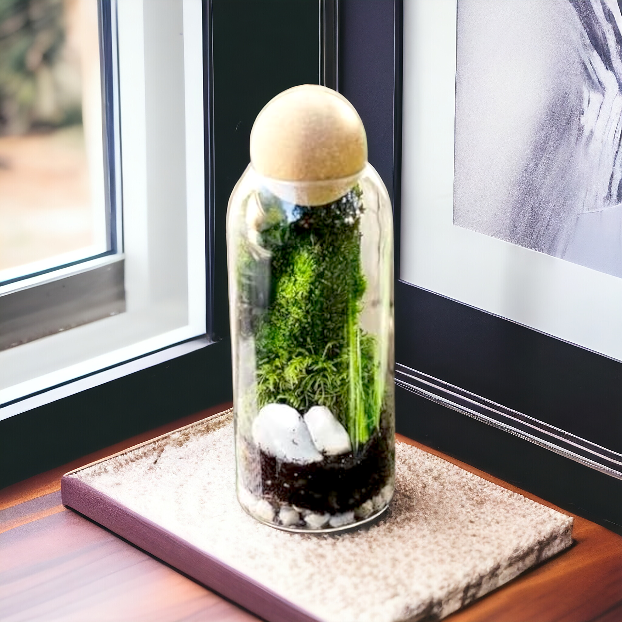 Glass Jar with Wool Ball Lid-Large