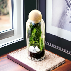 Glass Jar with Wool Ball Lid-Large