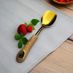 Stainless Steel Luxury Dish Spoon-D1