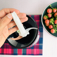 4 in 1 Immersion Blender