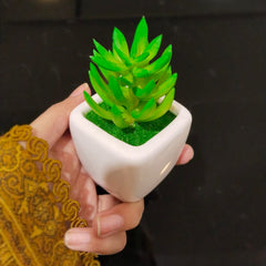 Mini Artificial Plant -D10