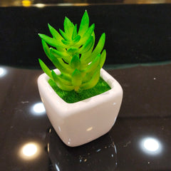 Mini Artificial Plant -D10