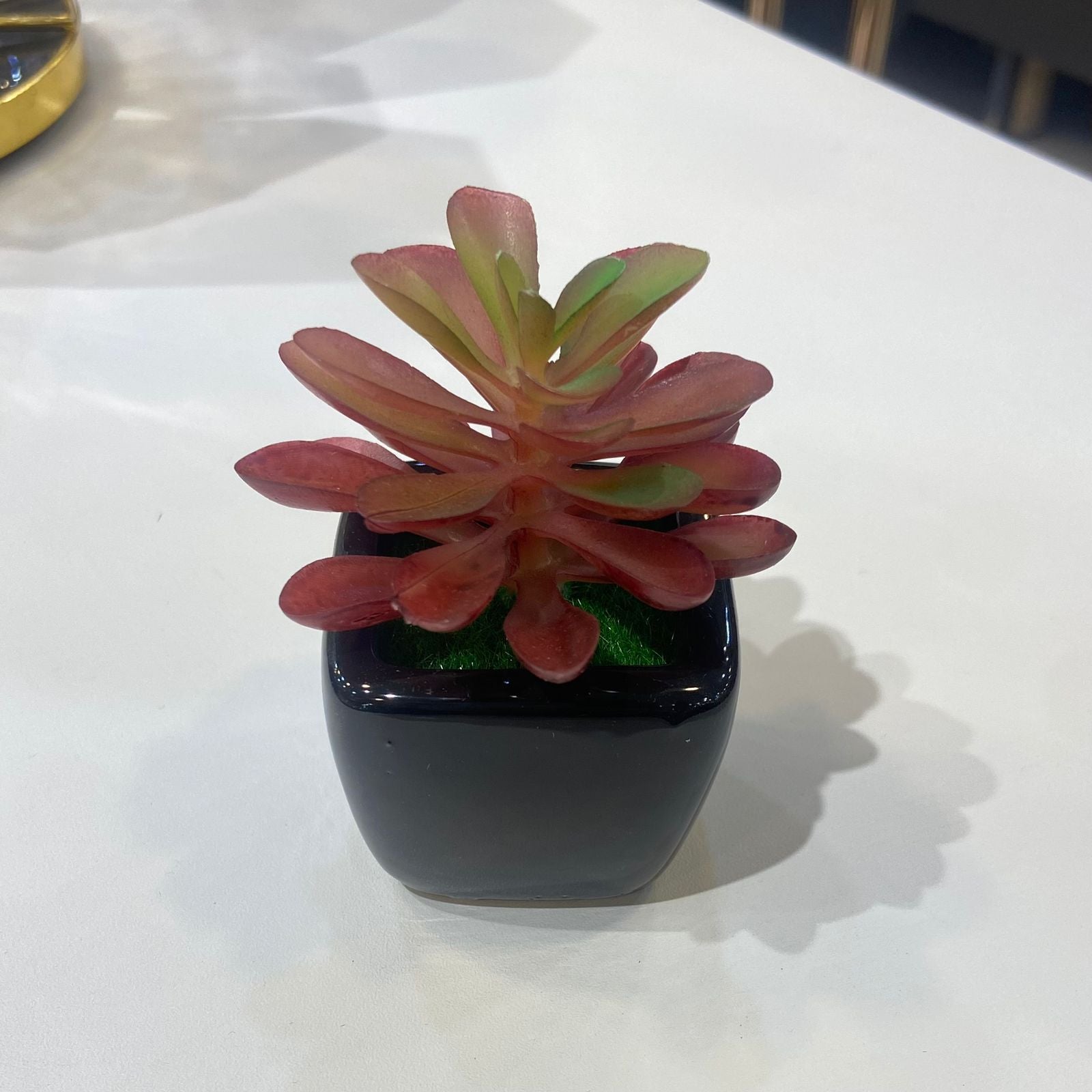 Mini Artificial Plant -D6