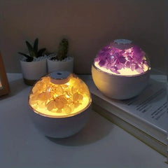 Preserved Flower Humidifier