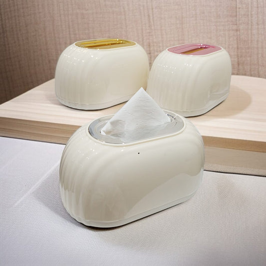 Stylish Desktop Tissue Box