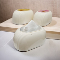 Stylish Desktop Tissue Box