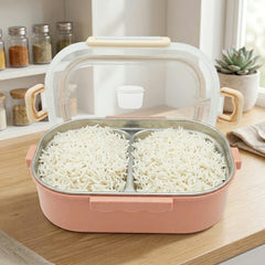 Two Compartment Stainless Steel Lunch Box