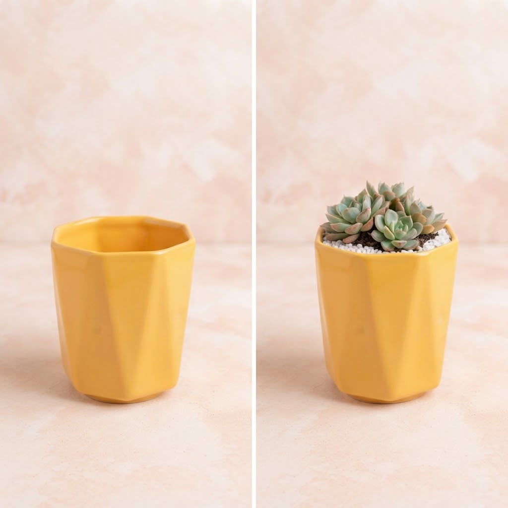 Single Piece Ceramic Pot