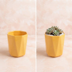 Single Piece Ceramic Pot