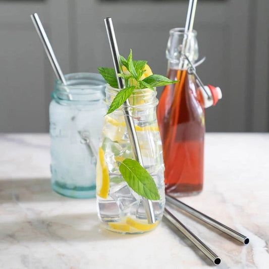 5 Pc Stainless Steel Straw