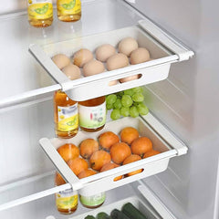 Egg Hanging Tray for Refrigerator