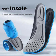 Pair of Insole Shoes