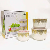 3 Pcs Ceramic Air-Tight bowl Set (D2)