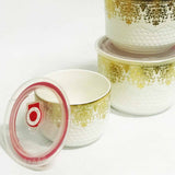 3 Pcs Ceramic Air-Tight bowl Set (D2)