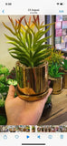 Golden ceramic planter