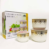 3 Pcs Ceramic Air-Tight bowl Set (D5)