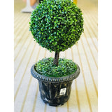 Modern Artificial Indoor Plant