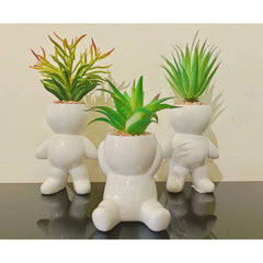 Nordic Cute Succulent Plant Simulation