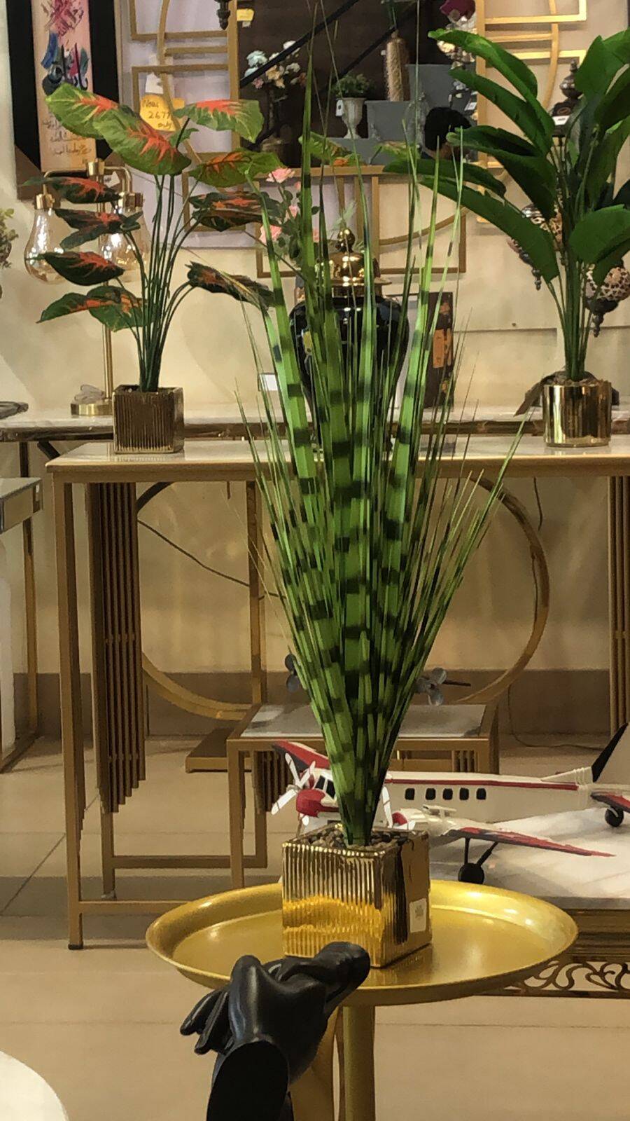 Table Decoration snake plant