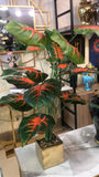 Table Decoration Plam plant