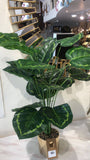 Table Decoration Plam plant