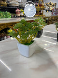 Mini ceramic Decorative plant