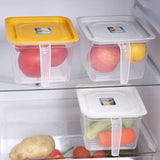 Kitchen Refrigerator Plastic Storage Box